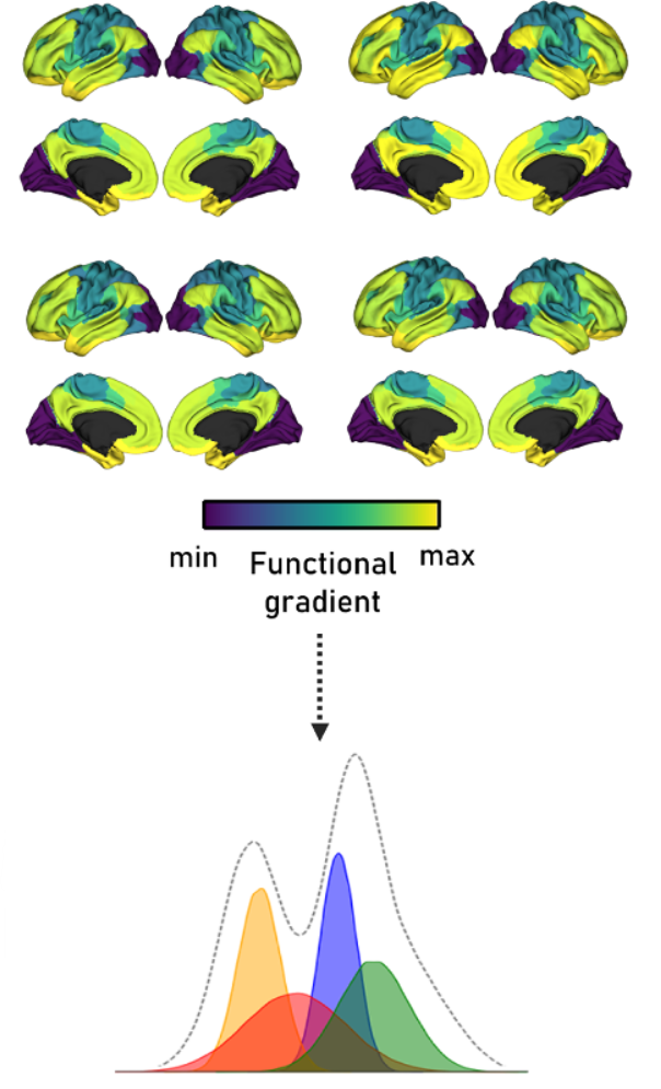 neuroimage.png
